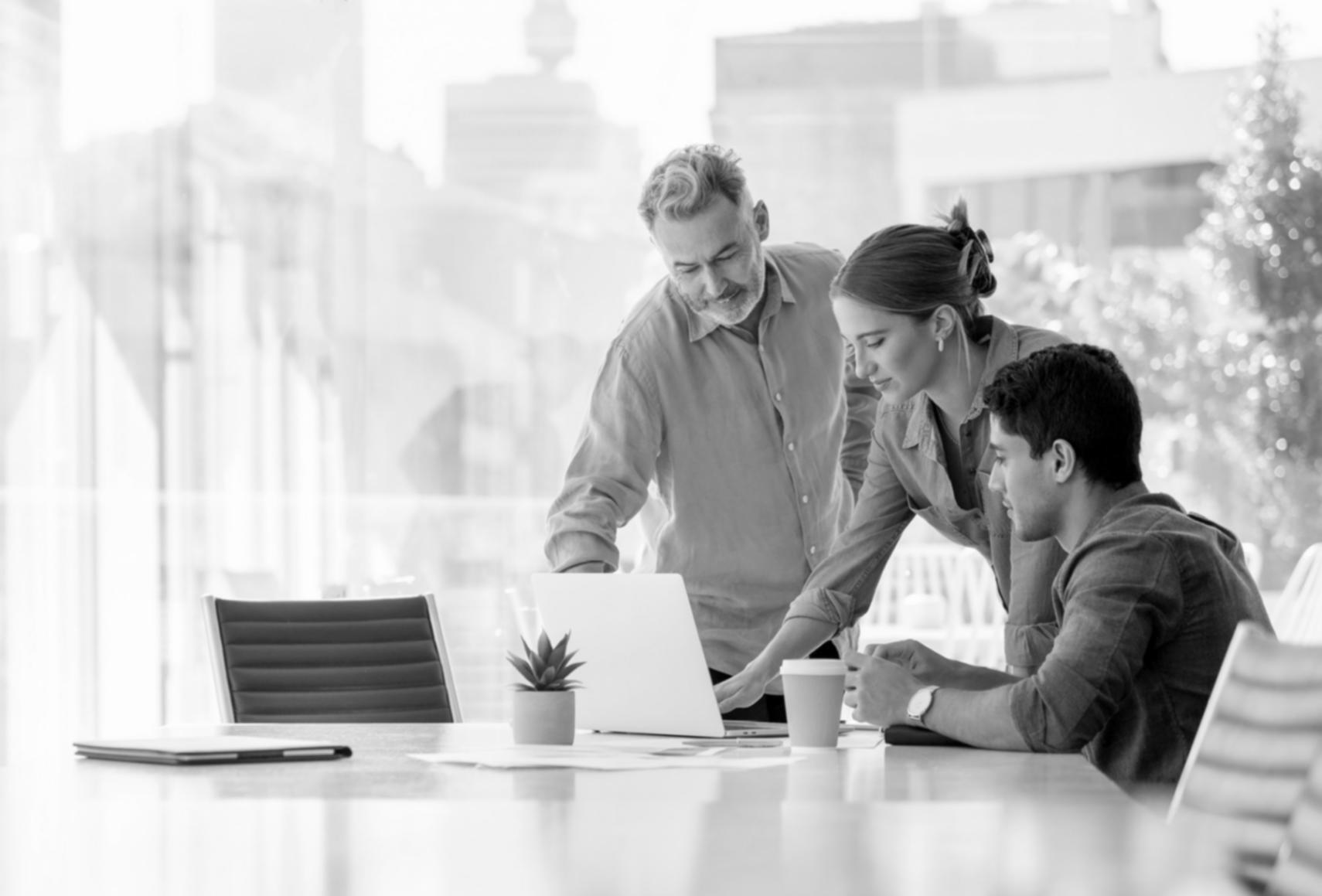 Outils SEO en analyse